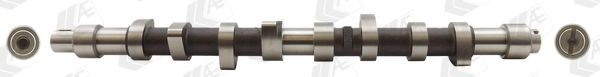 AE Camshaft Article number: CAM373 cheaply