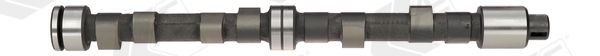 AE Camshaft Article number: CAM49 cheaply