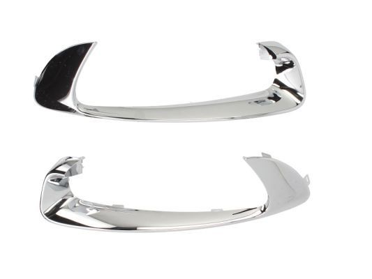 BLIC 5510-00-6046998P Bumper moulding SCÉNIC 1.5 dCi (JZ02, JZ0R) 95 PS Diesel 2016