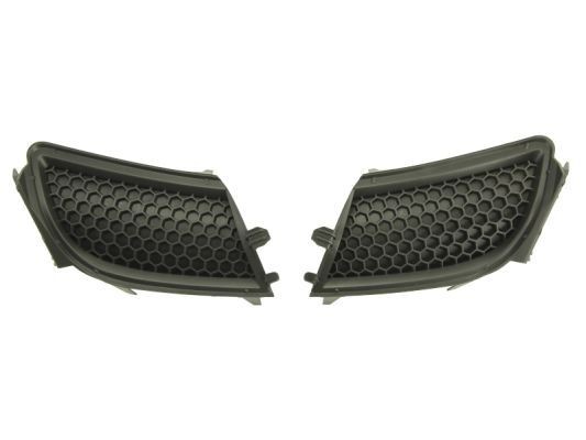 BLIC Bumper grill Article number: 5513-00-5519920P cheaply
