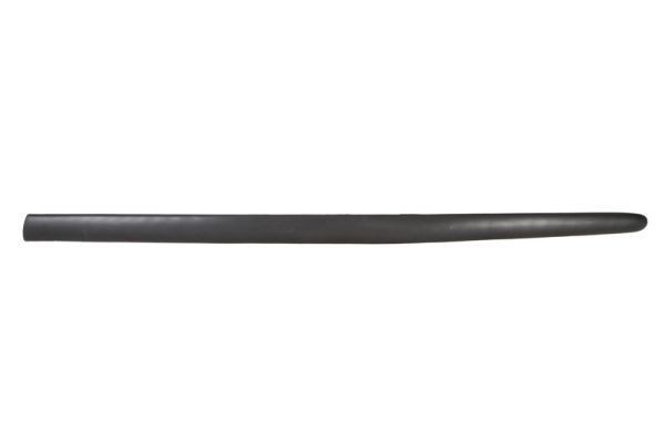 BLIC Trim / Protective Strip, mudguard Article number: 5703-04-5507571PP cheaply