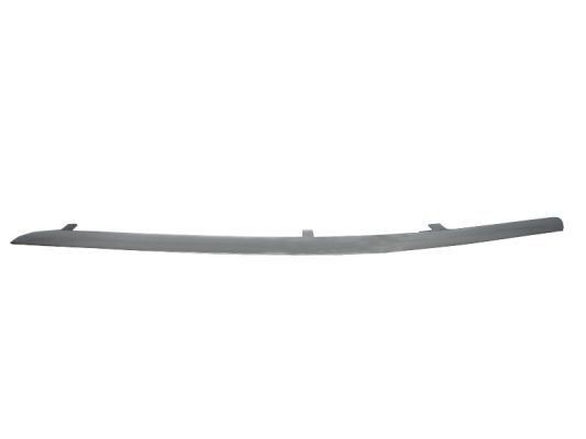 BLIC Bumper moulding Article number: 5703-05-0031924P cheaply