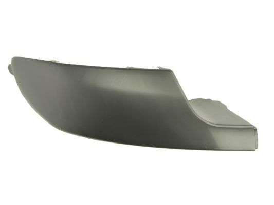 BLIC Bumper moulding Article number: 5703-05-5519975P cheaply