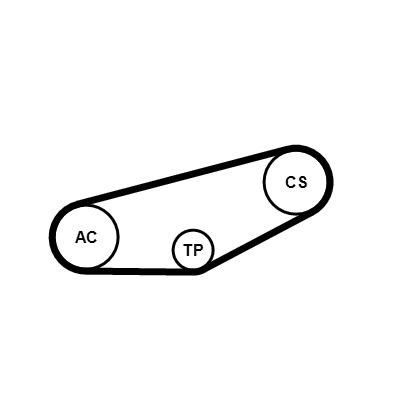 CONTITECH V-Ribbed Belt Set Article number: 4PK855K1 cheaply