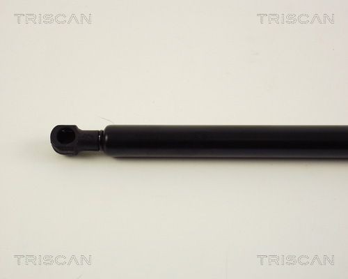 TRISCAN Piduriketas Artikli number: 8120 15145 soodsalt