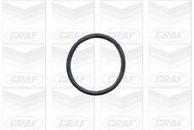 GRAF Vandpumpe Varenummer: PA302 billige