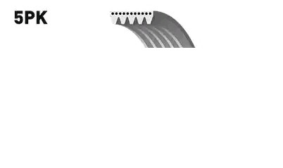 GATES Serpentine belt Article number: 5PK1343 cheaply