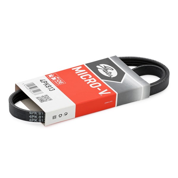GATES Serpentine belt Article number: 4PK813 cheaply