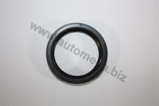 AUTOMEGA Shaft Seal, differential Article number: 303010189020T cheaply