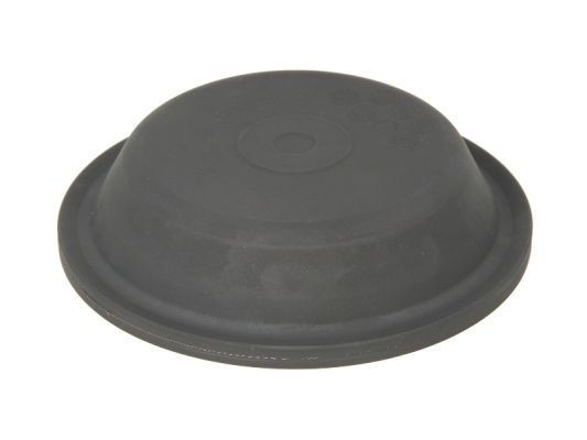 SBP Membrane Article number: 05-DMT20 cheaply