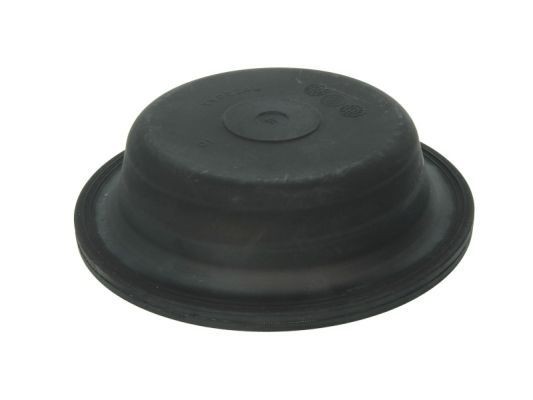 SBP Membrane Article number: 05-DMT24LS cheaply