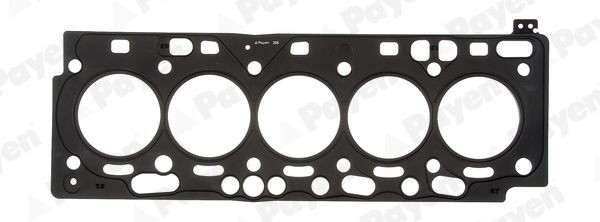 PAYEN Gasket, cylinder head Article number: AH7210 cheaply