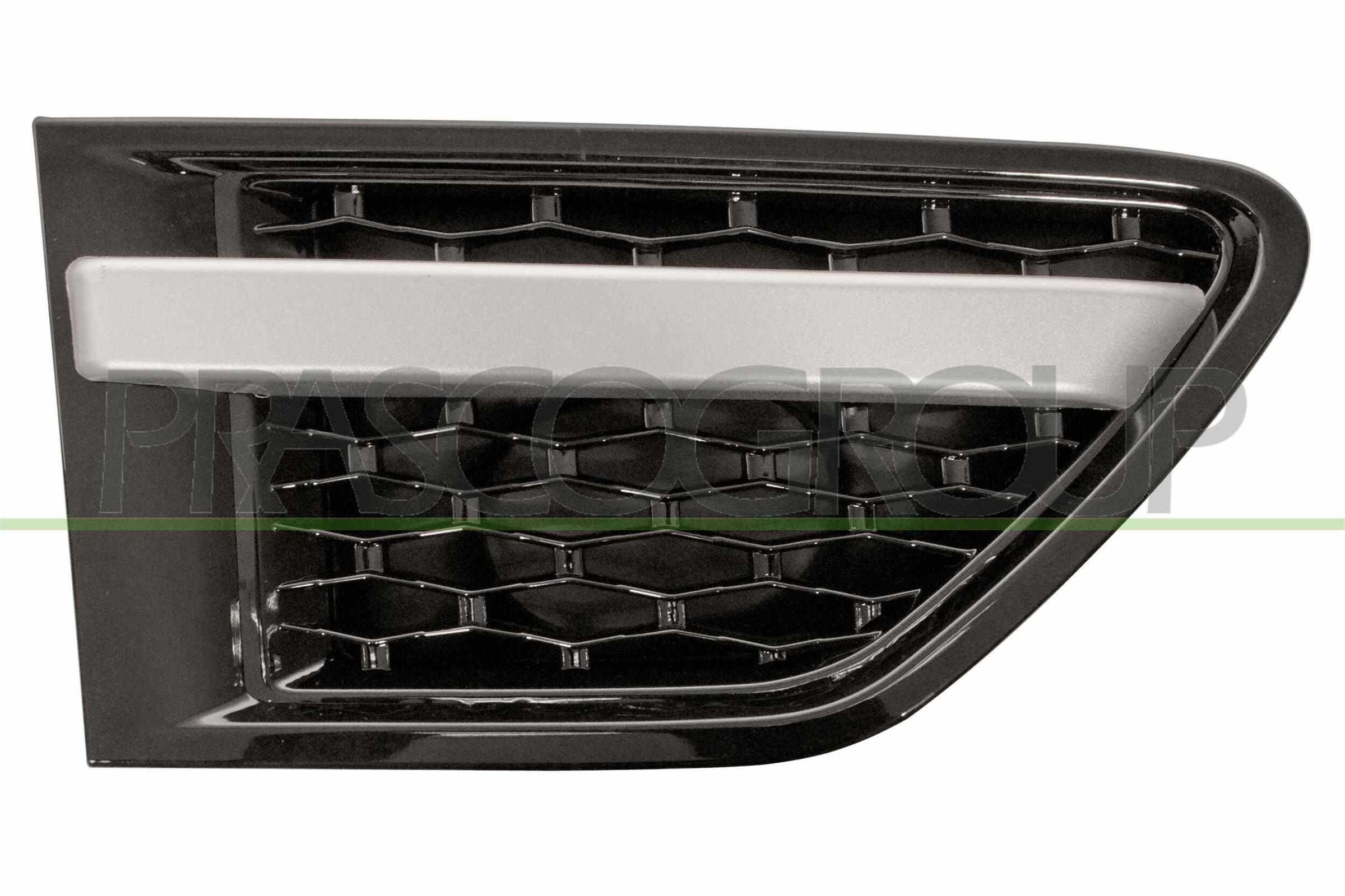 PRASCO Trim / Protective Strip, mudguard Article number: LR8021433 cheaply