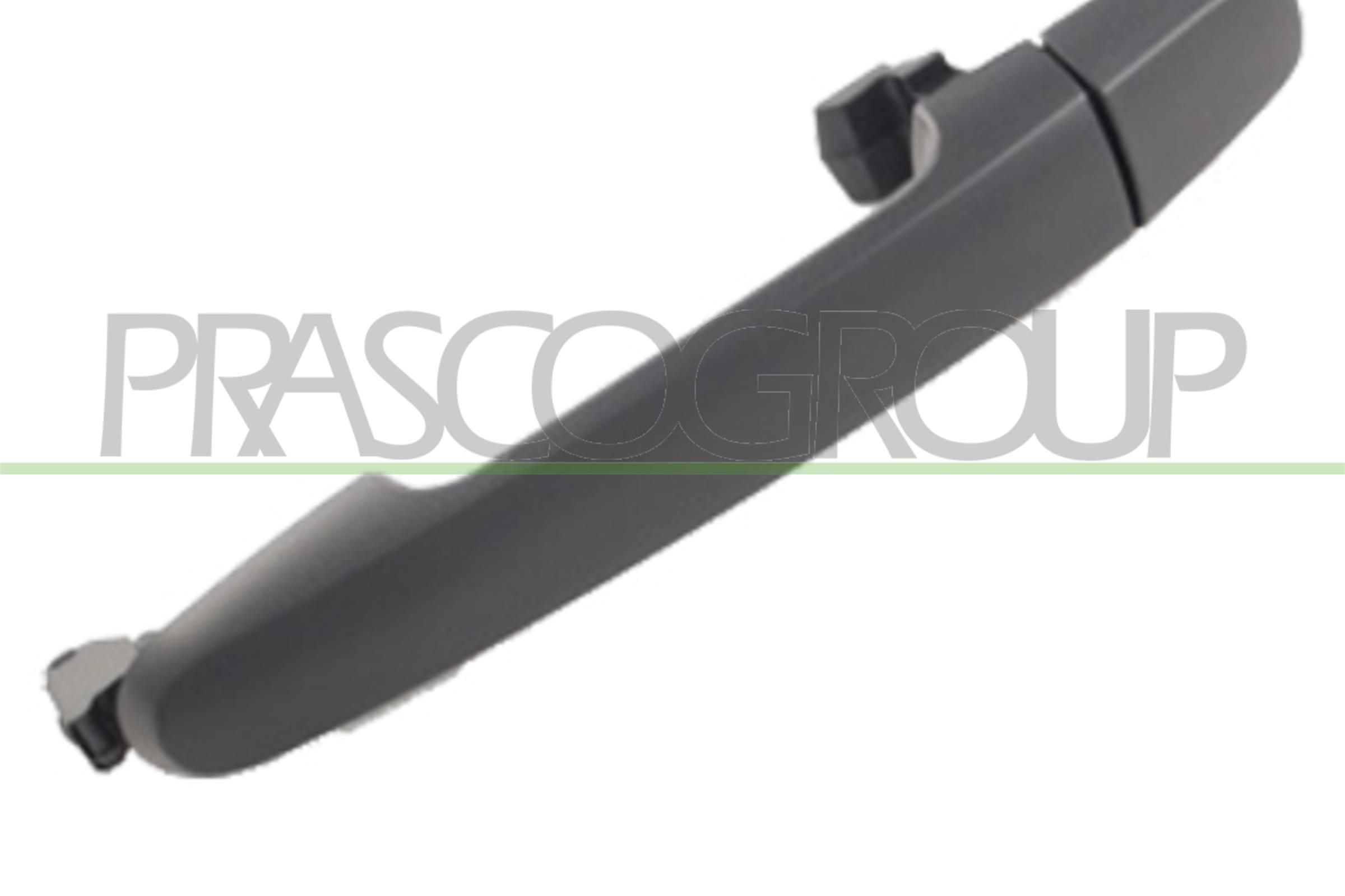 PRASCO Maniglia porta Numero articolo: TY8188111 poco costoso