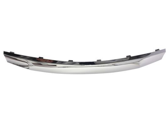 BLIC Trim / Protective Strip, radiator grille Article number: 6502-07-1302991P cheaply