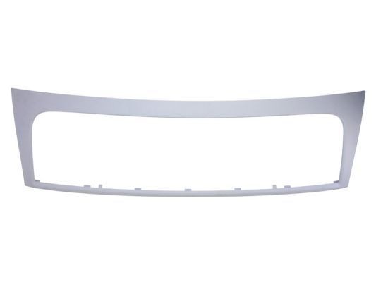 BLIC Frame, radiator grille Article number: 6502-07-2035991Q cheaply