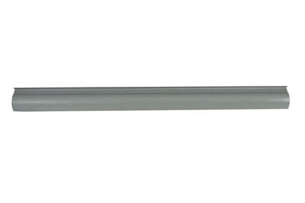BLIC Rocker panel Article number: 6505-06-9534015P cheaply
