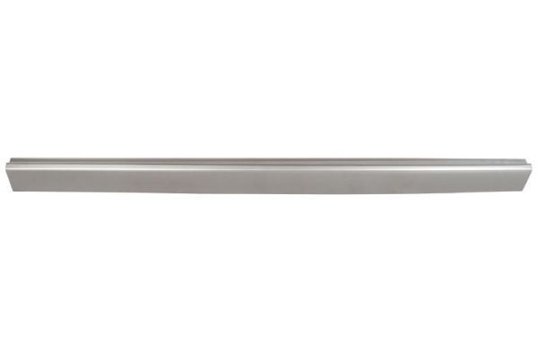 BLIC Rocker panel Article number: 6505-06-9568004P cheaply
