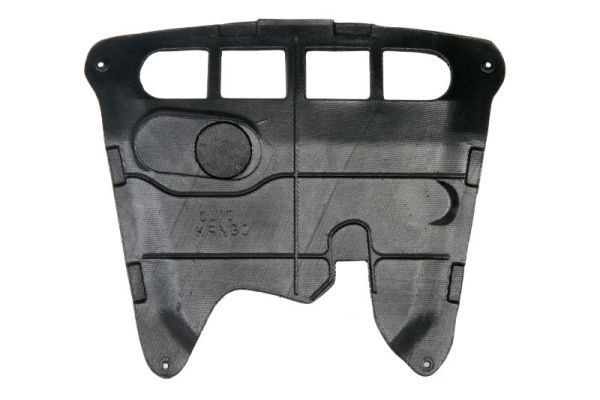 OEM Engine Cover 6601-02-6010860P from BLIC