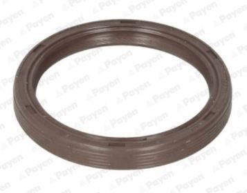 PAYEN Camshaft seal Article number: NA5310 cheaply