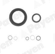 PAYEN Crankcase gasket set Article number: EG7950 cheaply