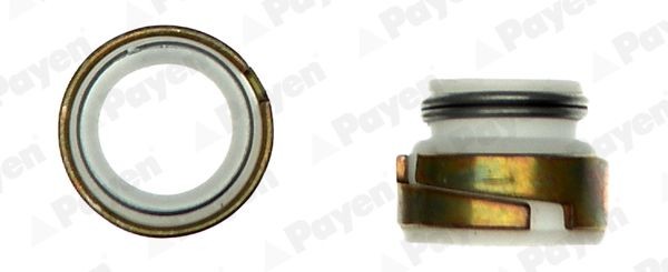 PAYEN Seal Set, valve stem Article number: HR300 cheaply