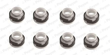PAYEN Seal Set, valve stem Article number: HR643 cheaply