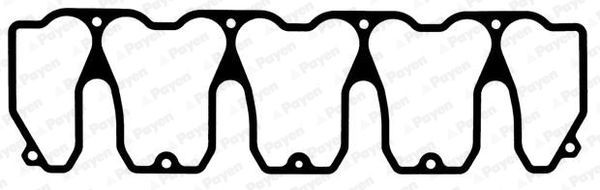 PAYEN Inlet manifold gasket Article number: JD5911 cheaply