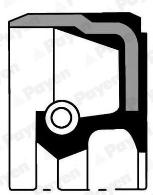 PAYEN Crankshaft seal Article number: NA5177 cheaply