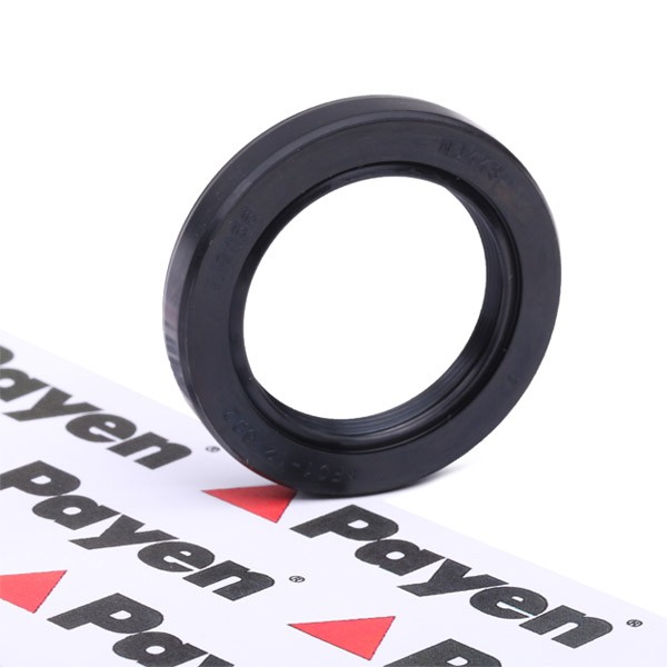 PAYEN Crankshaft seal Article number: NJ448 cheaply