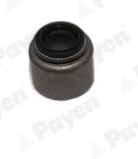 PAYEN Valve stem seal Article number: PA5048 cheaply