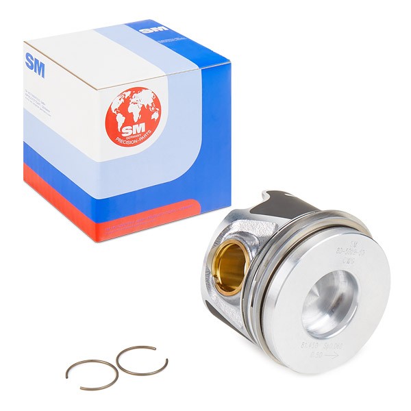 IPSA Piston Article number: PI005202 cheaply