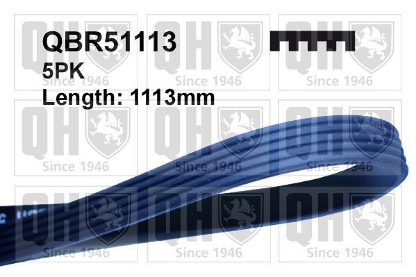QUINTON HAZELL Kilerem Varenummer: QBR51113 billige