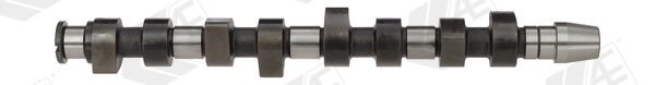 AE Camshaft Article number: CAM670 cheaply