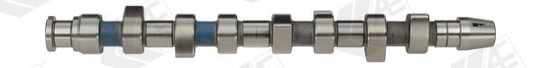 AE Camshaft Article number: CAM671 cheaply
