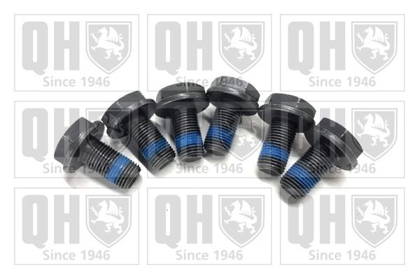 QUINTON HAZELL Bolt Kit, clutch Article number: QKT2900 cheaply