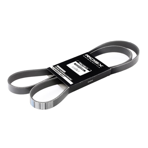 RIDEX Serpentine belt Article number: 305P0181 cheaply