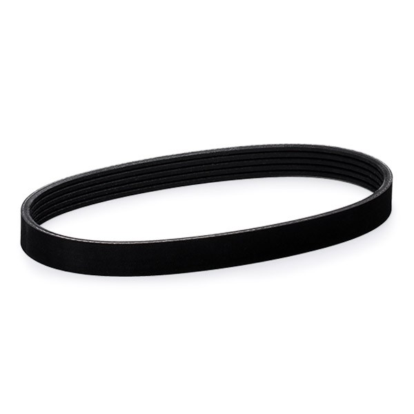 RIDEX Serpentine belt Article number: 305P0030 cheaply