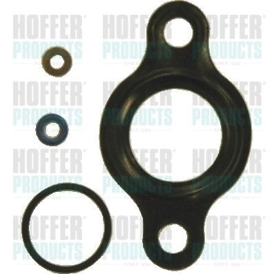 HOFFER Rep.sæt, commonrail system Varenummer: 8029158 billige