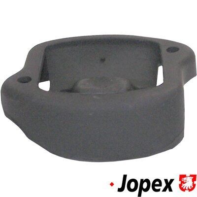 JP GROUP Exhaust pipe gasket Article number: 8121100200 cheaply