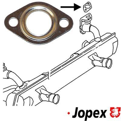 JP GROUP Exhaust pipe gasket Article number: 8121100300 cheaply