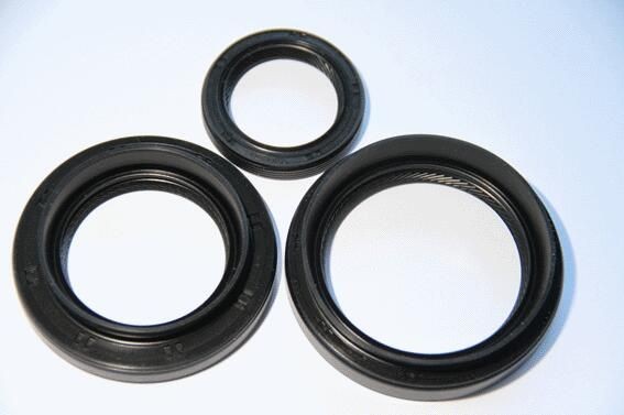 CORTECO Gasket Set, differential Article number: 19537205 cheaply