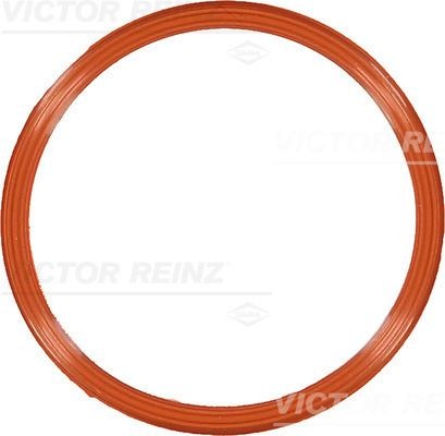 REINZ Inlet manifold gasket Article number: 71-10829-00 cheaply