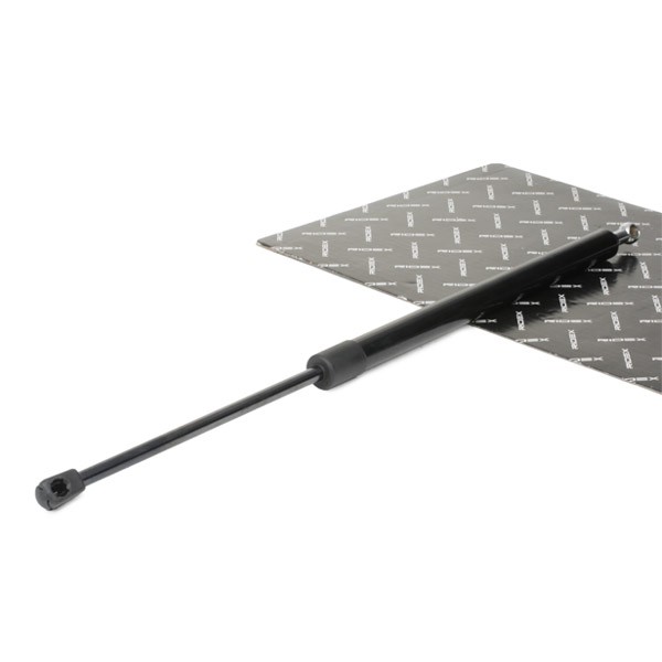 RIDEX Bagklapsdæmper Varenummer: 219G0609 billige