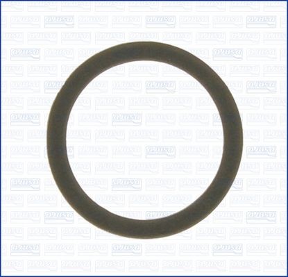 AJUSA Gasket, water pump Article number: 00220900 cheaply