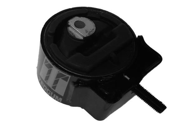 TEDGUM Holder, engine mounting Article number: 00232447 cheaply