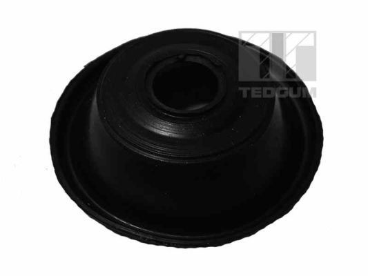 TEDGUM Radiator Core, intercooler Article number: 00580149 cheaply