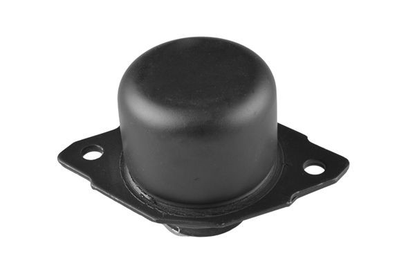 TEDGUM Holder, engine mounting Article number: 00725574 cheaply