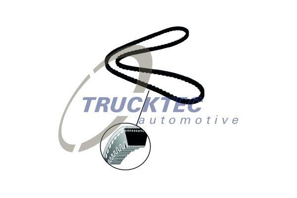 TRUCKTEC AUTOMOTIVE V-Belt Article number: 01.19.113 cheaply
