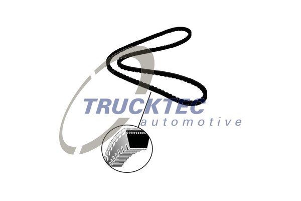 TRUCKTEC AUTOMOTIVE V-Belt Article number: 01.19.183 cheaply